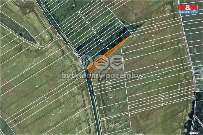 Prodej, Les, Mouřínov