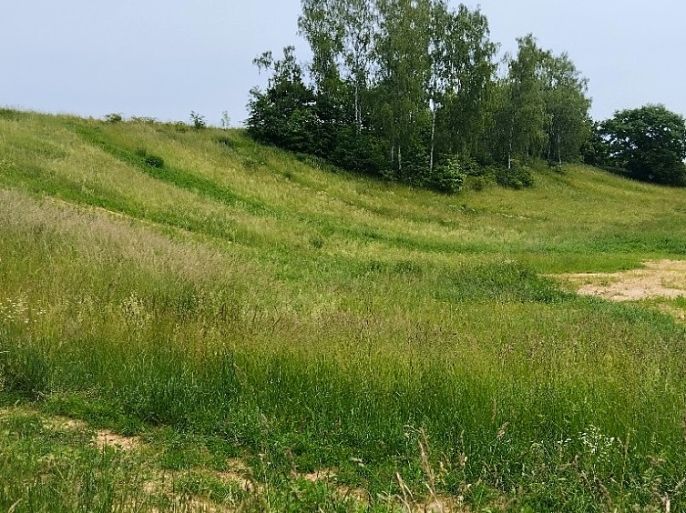 Prodej, Pozemek k bydlení, Svijanský Újezd