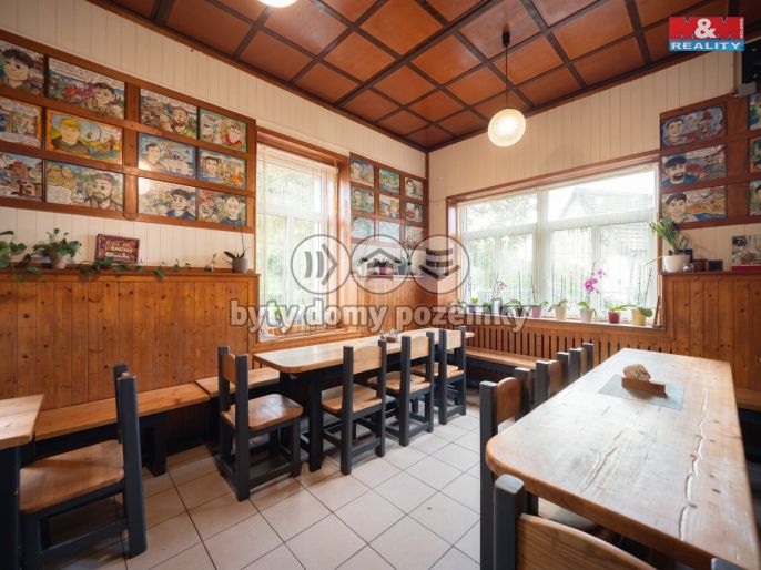 Prodej, Hotel, penzion, Želízy