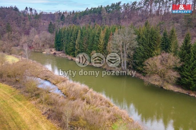 Prodej, Les, Zruč-Senec