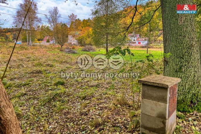 Prodej, Louka, Prysk