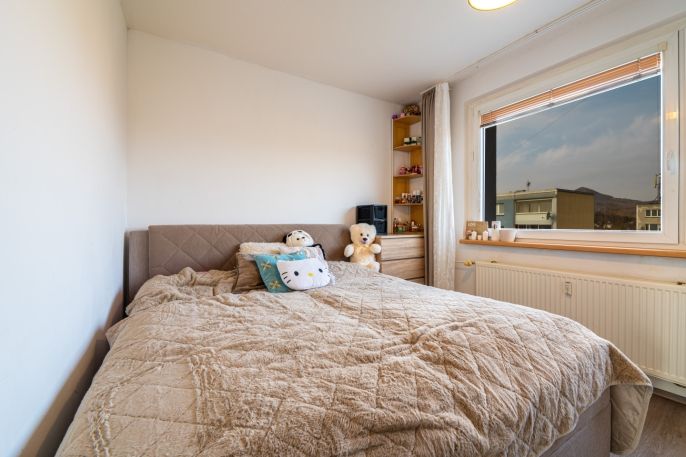 Prodej, Byt 3+1, Cvikov