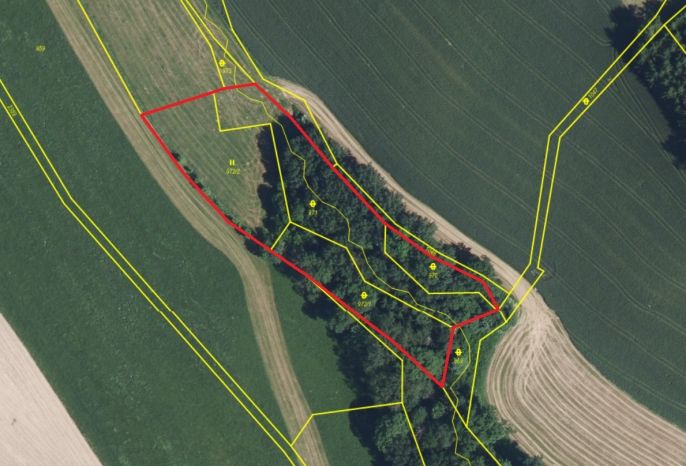 Prodej, Les, Košťálov