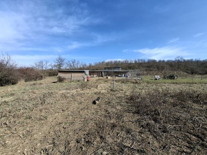 Prodej, Pole, Pohořelice