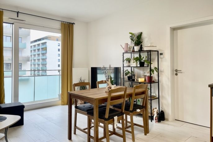 Pronájem, Byt 2+kk, České Budějovice