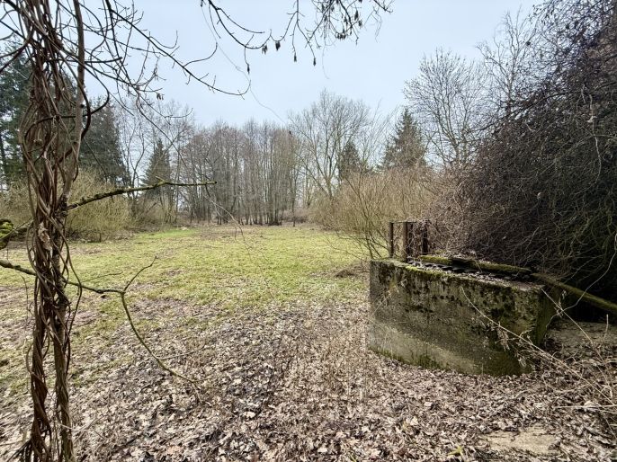 Prodej, Vodní plocha, Rychnov nad Kněžnou