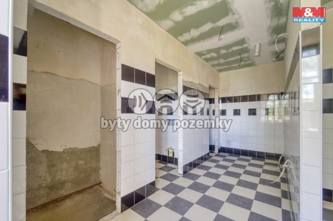 Prodej, Hotel, penzion, Červené Poříčí