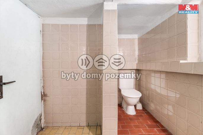 Prodej, Chata, Rybniště