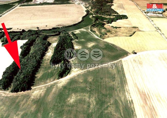 Prodej, Pole, Čejč