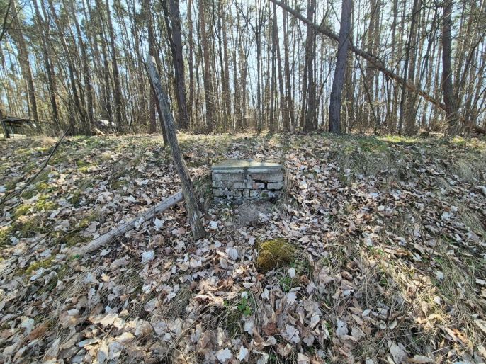 Prodej, Chata, Plešnice