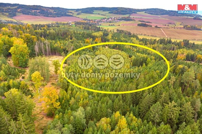 Prodej, Les, Černíkov