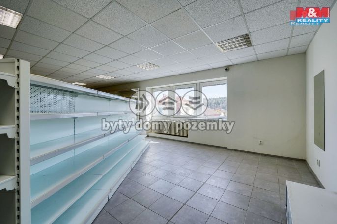 Pronájem, Obchod a služby, Třemošná