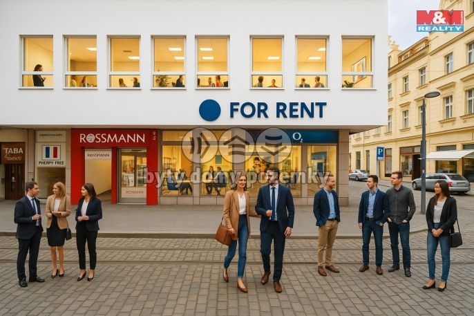 Pronájem, Obchod a služby, Plzeň