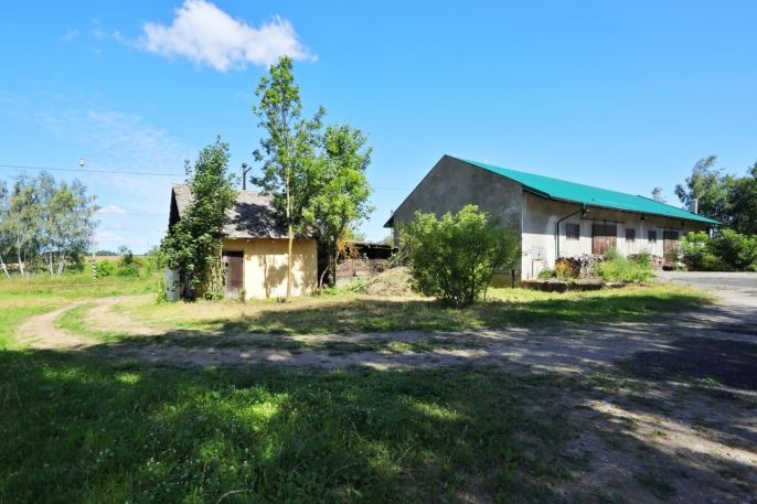 Prodej, Ostatní, Horní Cerekev