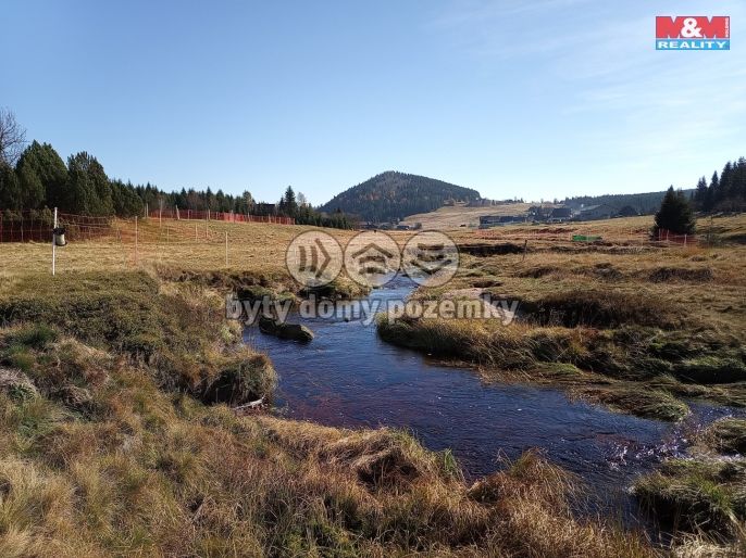 Prodej, Louka, Kořenov