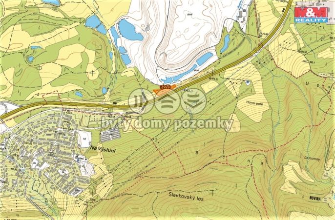 Prodej, Les, Dolní Rychnov