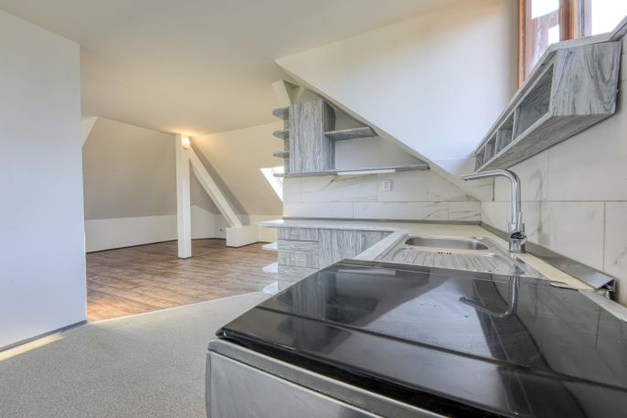 Prodej, Byt 4+kk, Vejprnice