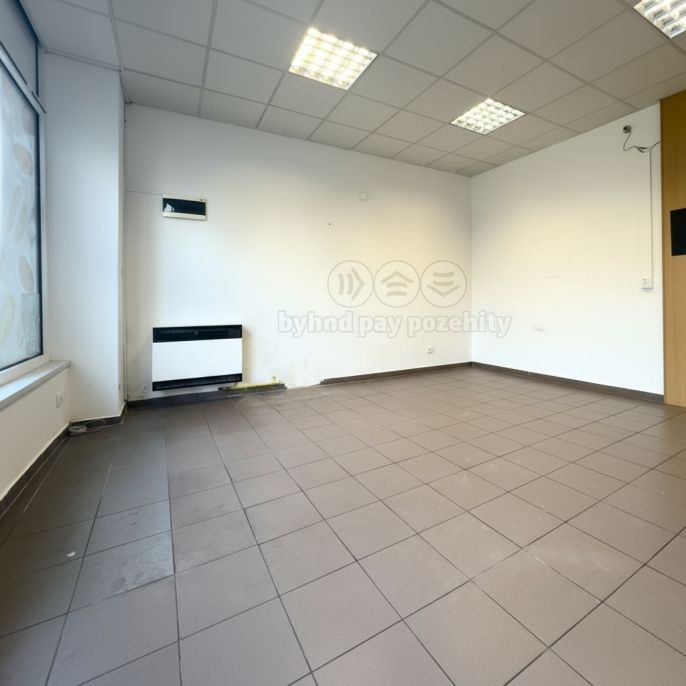 Pronájem, Obchod a služby, Poděbrady