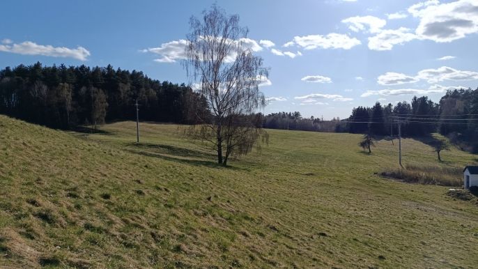 Prodej, Louka, Janův Důl