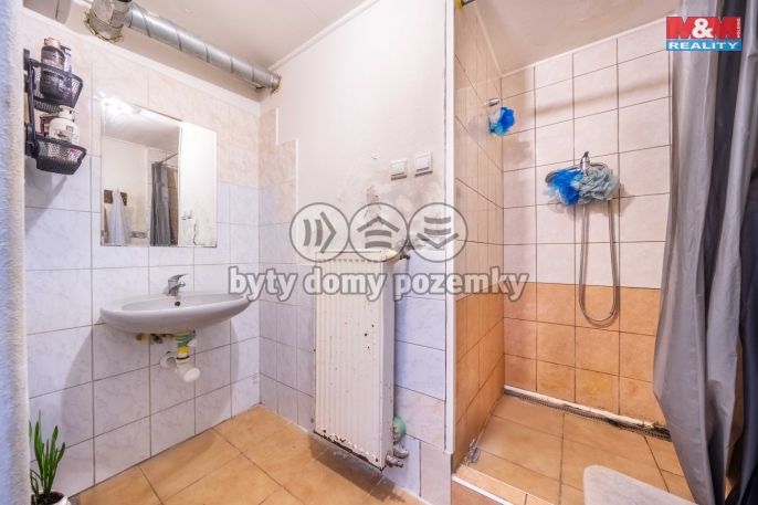 Prodej, Rodinný dům, Břasy