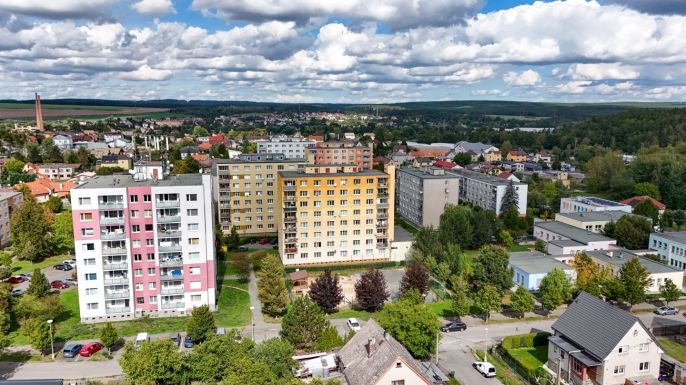 Prodej, Byt 1+1, Třemošná