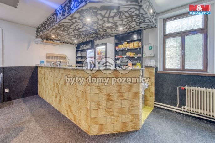 Prodej, Restaurace, stravování, Toužim