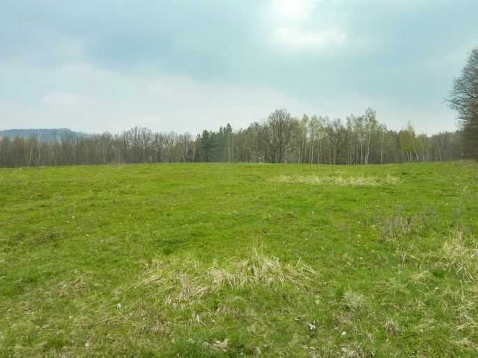 Prodej, Louka, Stružnice