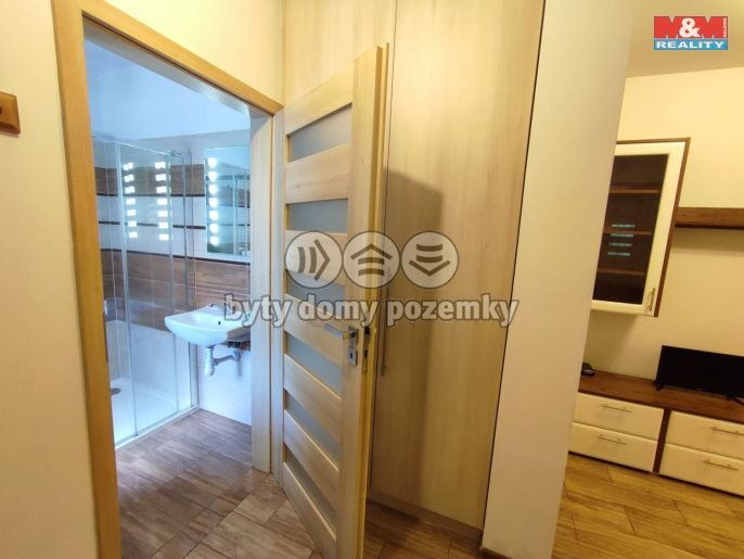Pronájem, Byt 1+kk, Třinec