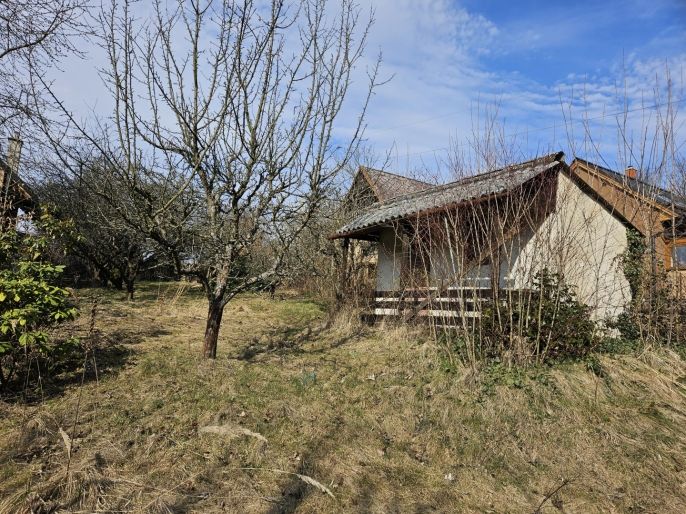 Prodej, Zahrada, Šternberk