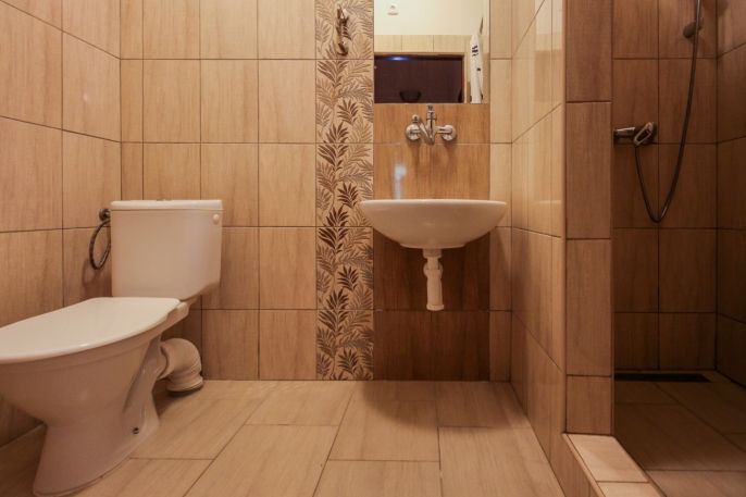 Prodej, Hotel, penzion, Holčovice