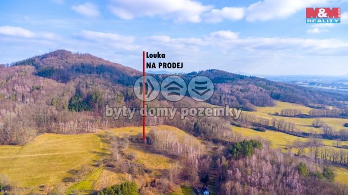 Prodej, Louka, Žandov