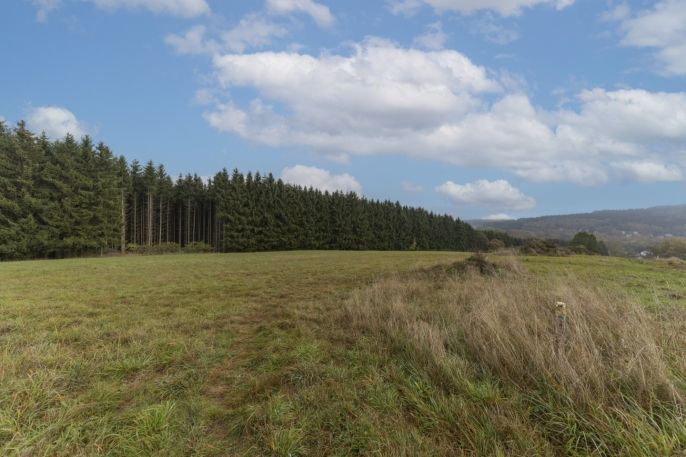 Prodej, Pozemek k bydlení, Krásná