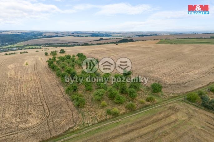 Prodej, Ovocný sad, Kralupy nad Vltavou