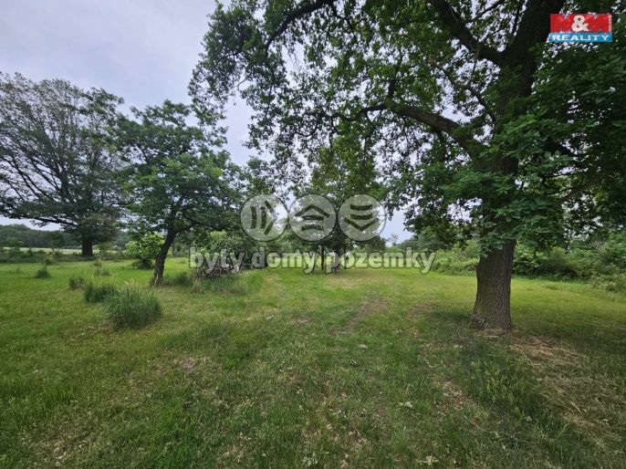 Prodej, Les, Tuřice