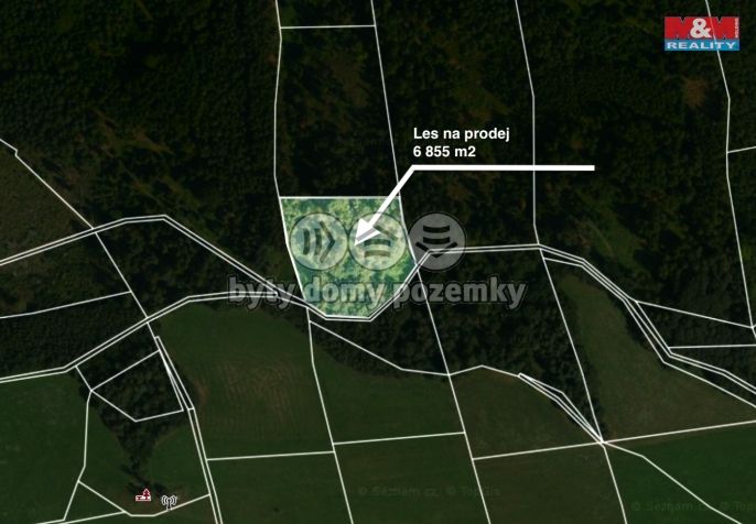 Prodej, Les, Jestřebí