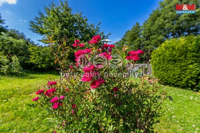 Prodej, Chata, Plzeň