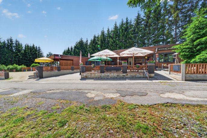 Prodej, Hotel, penzion, Nová Bystřice