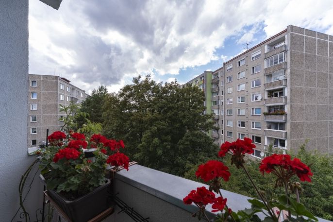 Prodej, Byt 3+1, Chodov