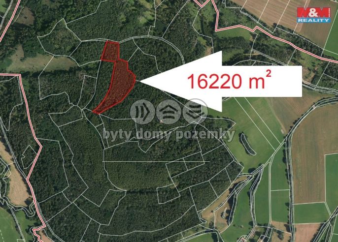 Prodej, Les, Petrovice