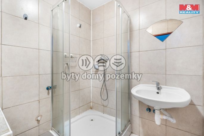 Prodej, Hotel, penzion, Janov nad Nisou