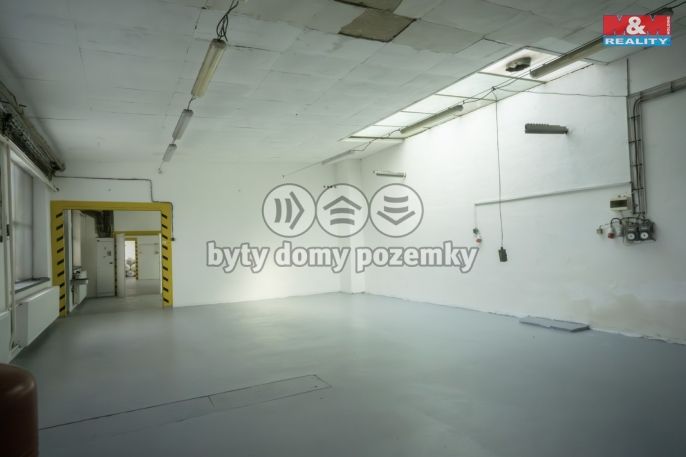 Prodej, Výrobní objekt, Boršice