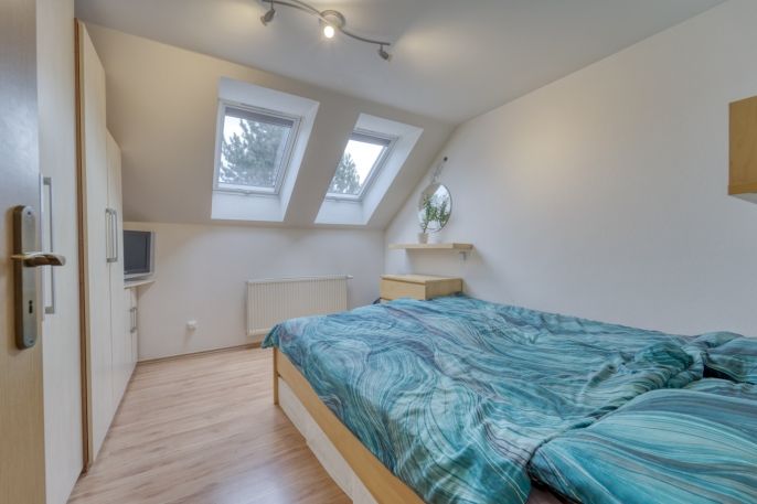 Prodej, Rodinný dům, Zruč-Senec