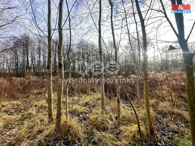 Prodej, Pozemek k bydlení, Petřvald