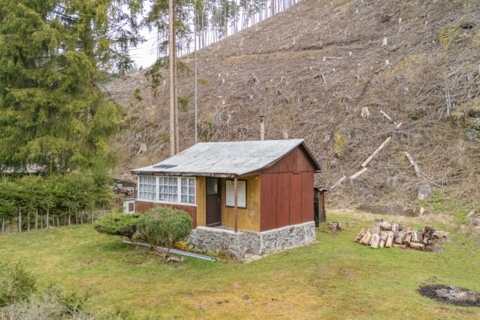 Prodej, Chata, Planá