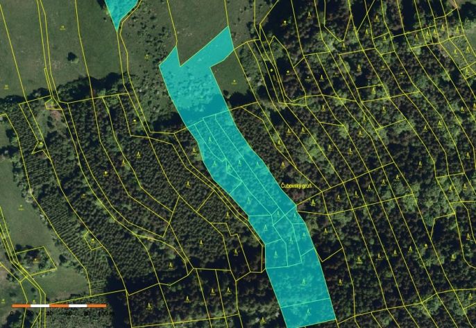 Prodej, Les, Nový Hrozenkov