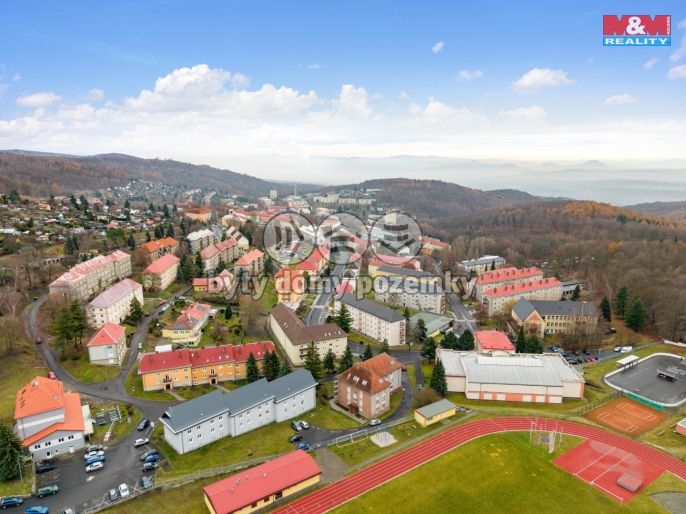 Prodej, Byt 2+1, Meziboří