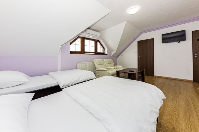 Pronájem, Byt 1+kk, Čáslav