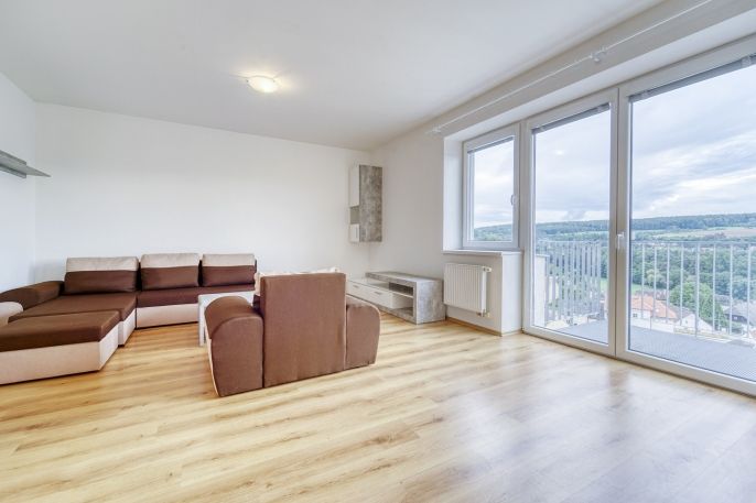 Pronájem, Byt 1+kk, Plasy