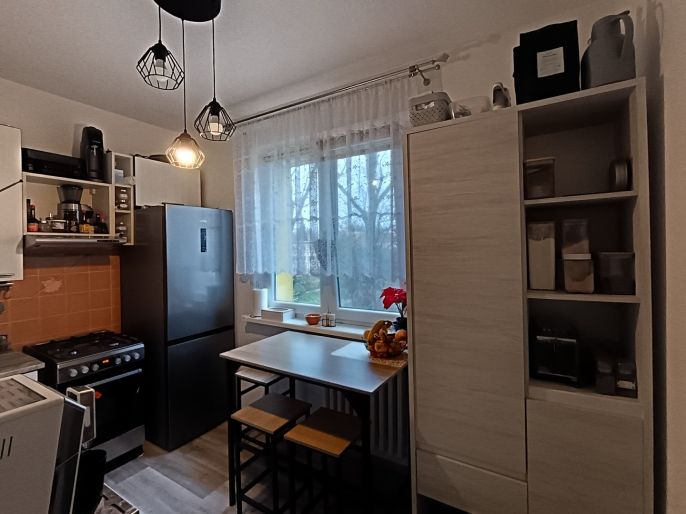 Prodej, Byt 2+1, Karviná