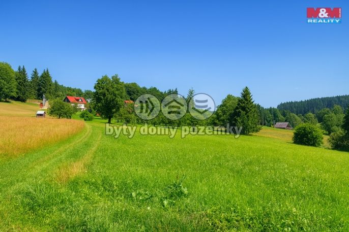 Prodej, Louka, Kořenov